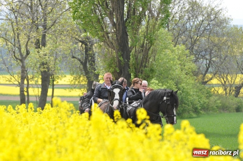 Zdjęcie w galerii na portalu naszraciborz.pl: Wiosenny korowód konny w gminie Pietrowice Wielkie [FOTO i WIDEO] wiadomości z regionu