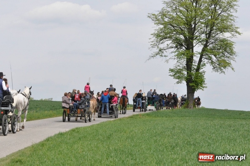 Zdjęcie w galerii na portalu naszraciborz.pl: Wiosenny korowód konny w gminie Pietrowice Wielkie [FOTO i WIDEO] wiadomości z regionu