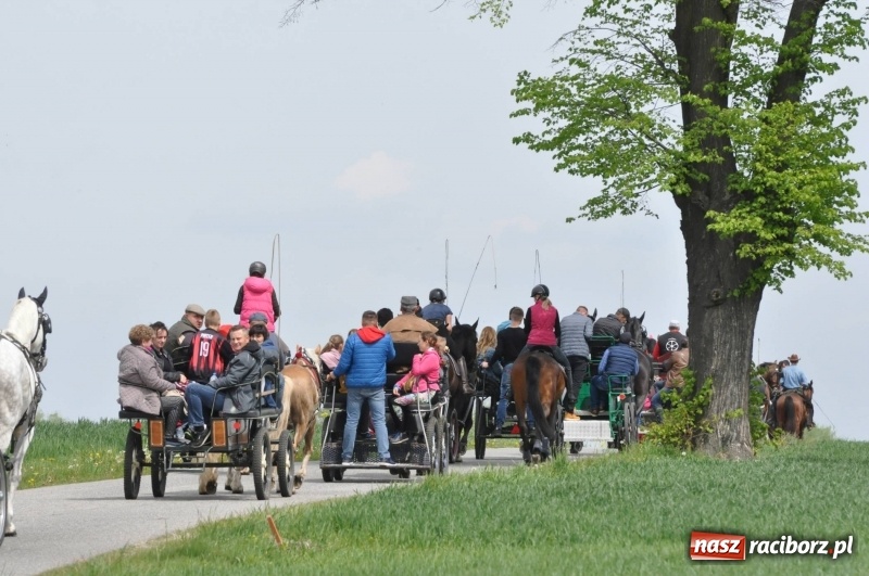 Zdjęcie w galerii na portalu naszraciborz.pl: Wiosenny korowód konny w gminie Pietrowice Wielkie [FOTO i WIDEO] wiadomości z regionu