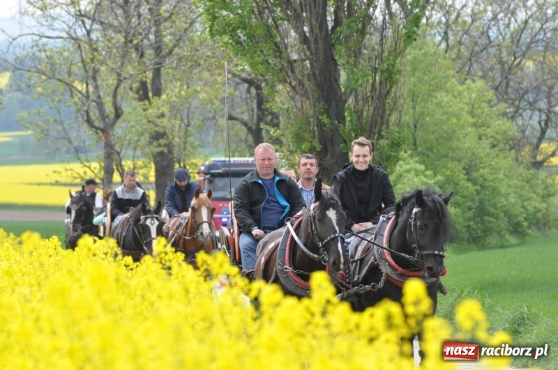 Zdjęcie w galerii na portalu naszraciborz.pl: Wiosenny korowód konny w gminie Pietrowice Wielkie [FOTO i WIDEO] wiadomości z regionu