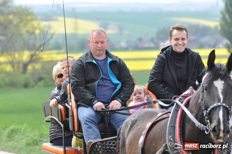 Zdjęcie w galerii na portalu naszraciborz.pl: Wiosenny korowód konny w gminie Pietrowice Wielkie [FOTO i WIDEO] wiadomości z regionu