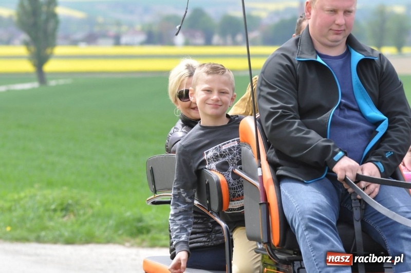 Zdjęcie w galerii na portalu naszraciborz.pl: Wiosenny korowód konny w gminie Pietrowice Wielkie [FOTO i WIDEO] wiadomości z regionu