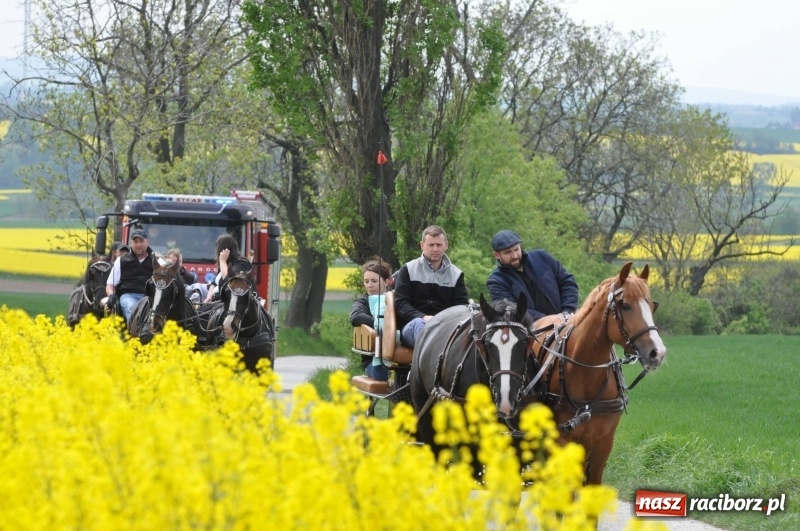 Zdjęcie w galerii na portalu naszraciborz.pl: Wiosenny korowód konny w gminie Pietrowice Wielkie [FOTO i WIDEO] wiadomości z regionu