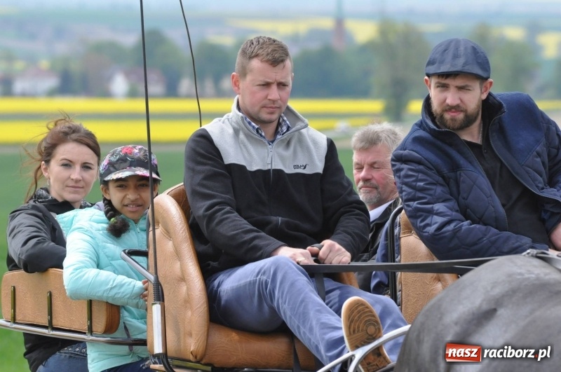 Zdjęcie w galerii na portalu naszraciborz.pl: Wiosenny korowód konny w gminie Pietrowice Wielkie [FOTO i WIDEO] wiadomości z regionu