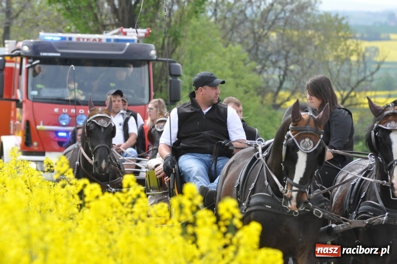 Zdjęcie w galerii na portalu naszraciborz.pl: Wiosenny korowód konny w gminie Pietrowice Wielkie [FOTO i WIDEO] wiadomości z regionu