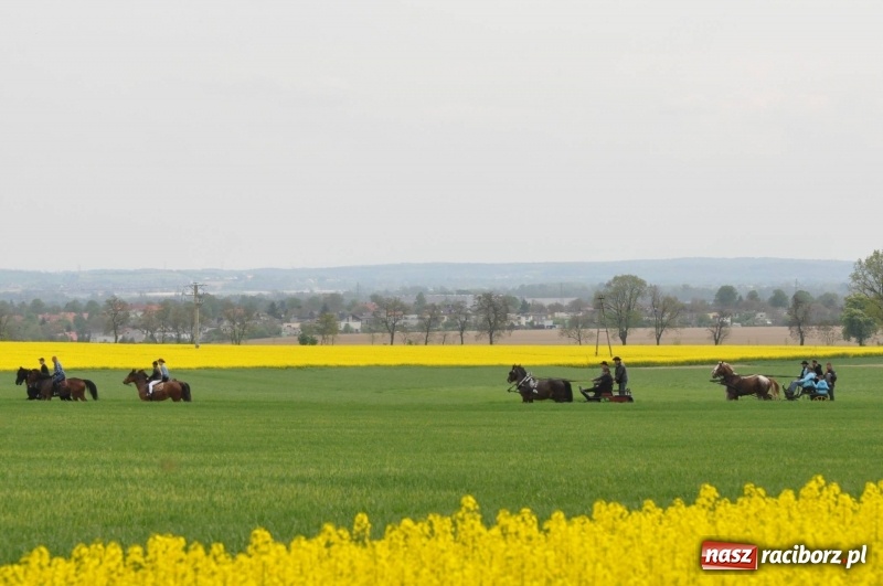 Zdjęcie w galerii na portalu naszraciborz.pl: Wiosenny korowód konny w gminie Pietrowice Wielkie [FOTO i WIDEO] wiadomości z regionu