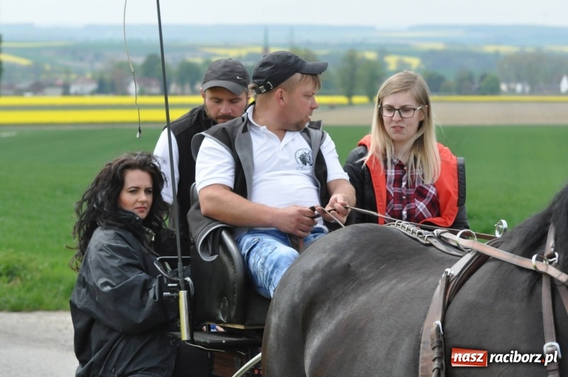 Zdjęcie w galerii na portalu naszraciborz.pl: Wiosenny korowód konny w gminie Pietrowice Wielkie [FOTO i WIDEO] wiadomości z regionu