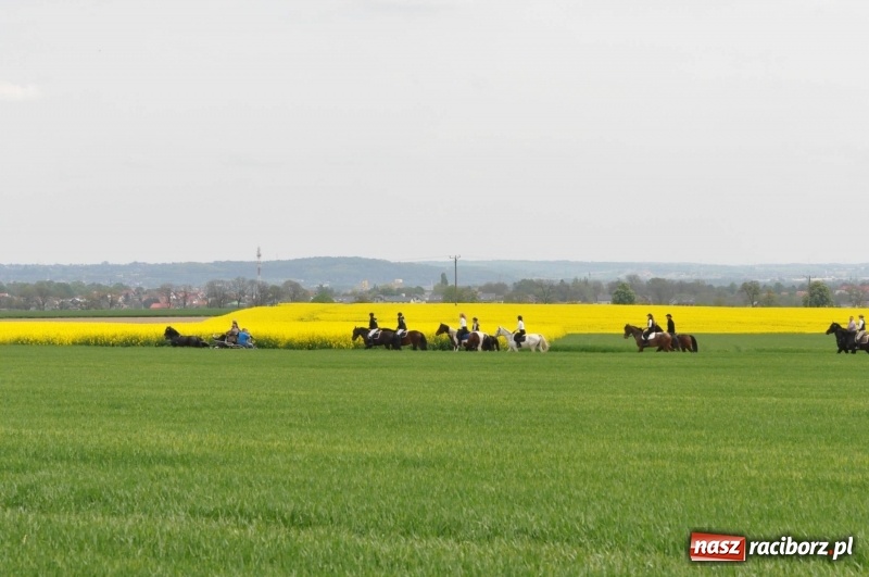 Zdjęcie w galerii na portalu naszraciborz.pl: Wiosenny korowód konny w gminie Pietrowice Wielkie [FOTO i WIDEO] wiadomości z regionu