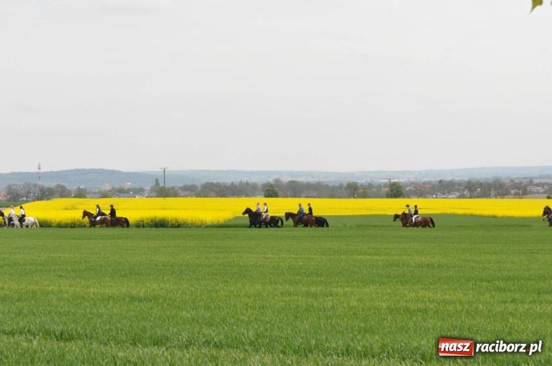 Zdjęcie w galerii na portalu naszraciborz.pl: Wiosenny korowód konny w gminie Pietrowice Wielkie [FOTO i WIDEO] wiadomości z regionu