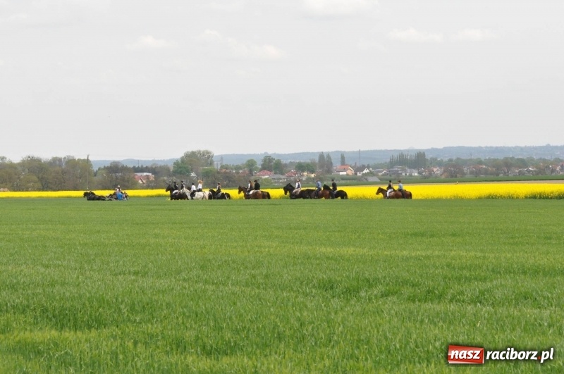 Zdjęcie w galerii na portalu naszraciborz.pl: Wiosenny korowód konny w gminie Pietrowice Wielkie [FOTO i WIDEO] wiadomości z regionu