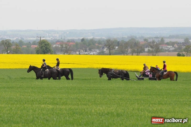 Zdjęcie w galerii na portalu naszraciborz.pl: Wiosenny korowód konny w gminie Pietrowice Wielkie [FOTO i WIDEO] wiadomości z regionu
