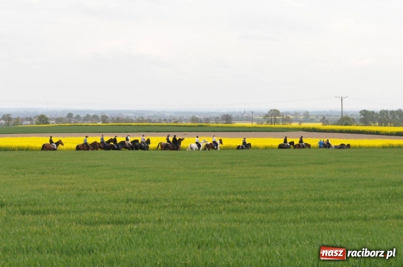 Zdjęcie w galerii na portalu naszraciborz.pl: Wiosenny korowód konny w gminie Pietrowice Wielkie [FOTO i WIDEO] wiadomości z regionu