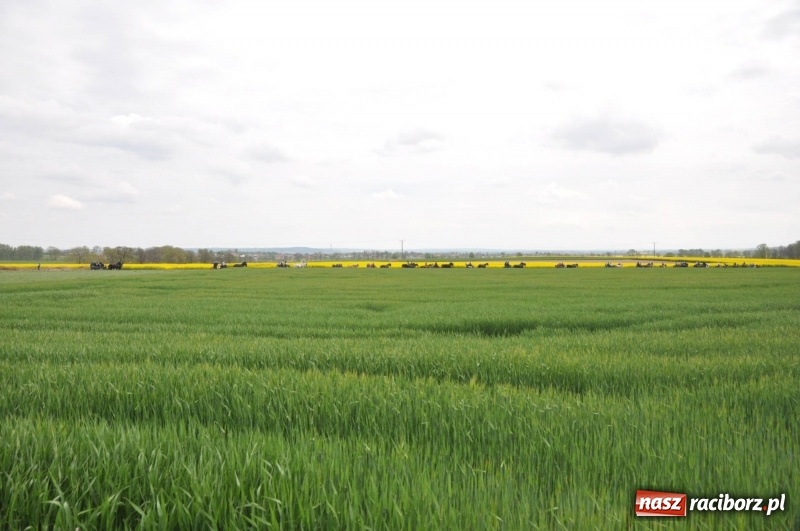 Zdjęcie w galerii na portalu naszraciborz.pl: Wiosenny korowód konny w gminie Pietrowice Wielkie [FOTO i WIDEO] wiadomości z regionu