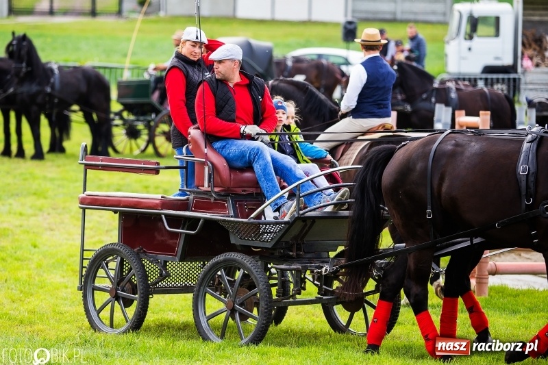 Zdjęcie w galerii na portalu naszraciborz.pl: Wiosenny korowód konny w gminie Pietrowice Wielkie [FOTO i WIDEO] wiadomości z regionu