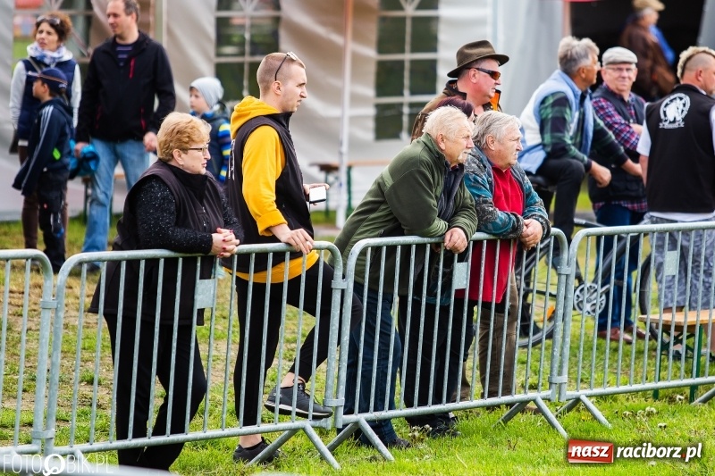 Zdjęcie w galerii na portalu naszraciborz.pl: Wiosenny korowód konny w gminie Pietrowice Wielkie [FOTO i WIDEO] wiadomości z regionu