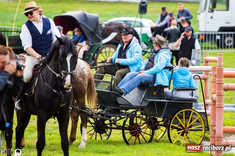 Zdjęcie w galerii na portalu naszraciborz.pl: Wiosenny korowód konny w gminie Pietrowice Wielkie [FOTO i WIDEO] wiadomości z regionu