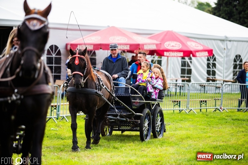 Zdjęcie w galerii na portalu naszraciborz.pl: Wiosenny korowód konny w gminie Pietrowice Wielkie [FOTO i WIDEO] wiadomości z regionu