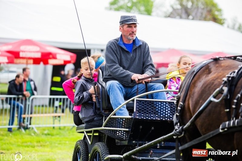 Zdjęcie w galerii na portalu naszraciborz.pl: Wiosenny korowód konny w gminie Pietrowice Wielkie [FOTO i WIDEO] wiadomości z regionu