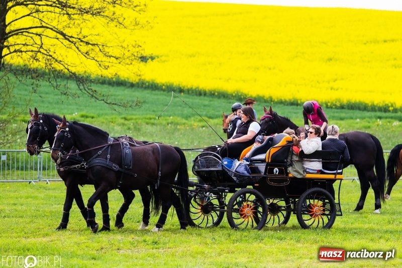 Zdjęcie w galerii na portalu naszraciborz.pl: Wiosenny korowód konny w gminie Pietrowice Wielkie [FOTO i WIDEO] wiadomości z regionu