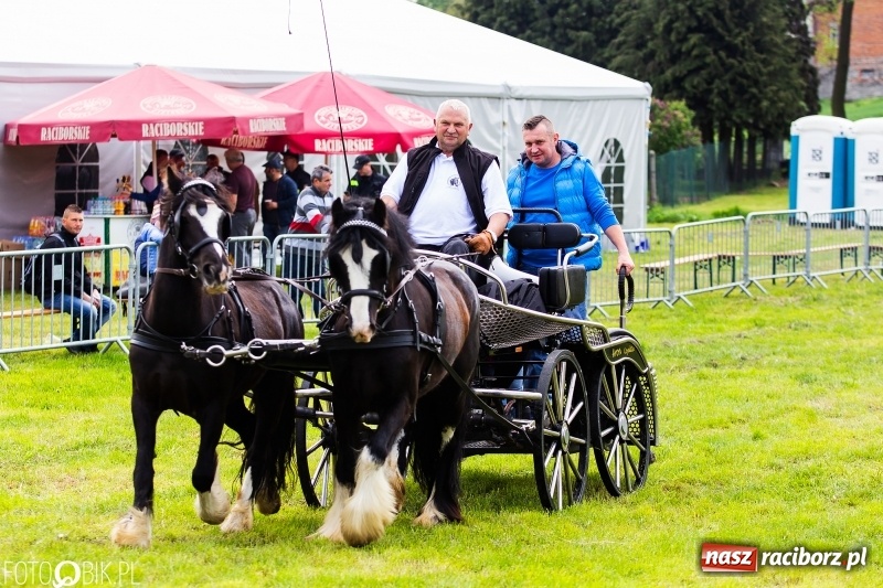 Zdjęcie w galerii na portalu naszraciborz.pl: Wiosenny korowód konny w gminie Pietrowice Wielkie [FOTO i WIDEO] wiadomości z regionu