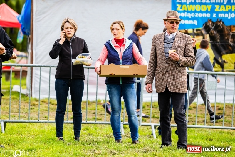 Zdjęcie w galerii na portalu naszraciborz.pl: Wiosenny korowód konny w gminie Pietrowice Wielkie [FOTO i WIDEO] wiadomości z regionu