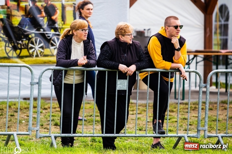 Zdjęcie w galerii na portalu naszraciborz.pl: Wiosenny korowód konny w gminie Pietrowice Wielkie [FOTO i WIDEO] wiadomości z regionu
