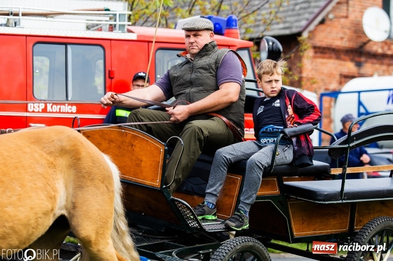 Zdjęcie w galerii na portalu naszraciborz.pl: Wiosenny korowód konny w gminie Pietrowice Wielkie [FOTO i WIDEO] wiadomości z regionu