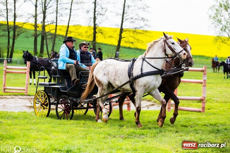 Zdjęcie w galerii na portalu naszraciborz.pl: Wiosenny korowód konny w gminie Pietrowice Wielkie [FOTO i WIDEO] wiadomości z regionu