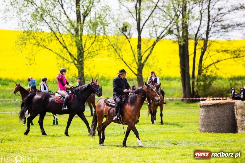 Zdjęcie w galerii na portalu naszraciborz.pl: Wiosenny korowód konny w gminie Pietrowice Wielkie [FOTO i WIDEO] wiadomości z regionu