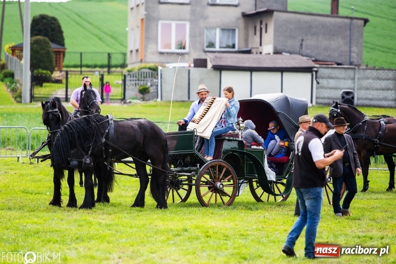Zdjęcie w galerii na portalu naszraciborz.pl: Wiosenny korowód konny w gminie Pietrowice Wielkie [FOTO i WIDEO] wiadomości z regionu