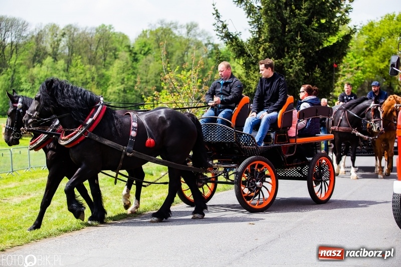 Zdjęcie w galerii na portalu naszraciborz.pl: Wiosenny korowód konny w gminie Pietrowice Wielkie [FOTO i WIDEO] wiadomości z regionu