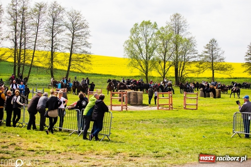 Zdjęcie w galerii na portalu naszraciborz.pl: Wiosenny korowód konny w gminie Pietrowice Wielkie [FOTO i WIDEO] wiadomości z regionu