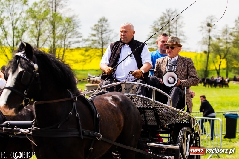 Zdjęcie w galerii na portalu naszraciborz.pl: Wiosenny korowód konny w gminie Pietrowice Wielkie [FOTO i WIDEO] wiadomości z regionu
