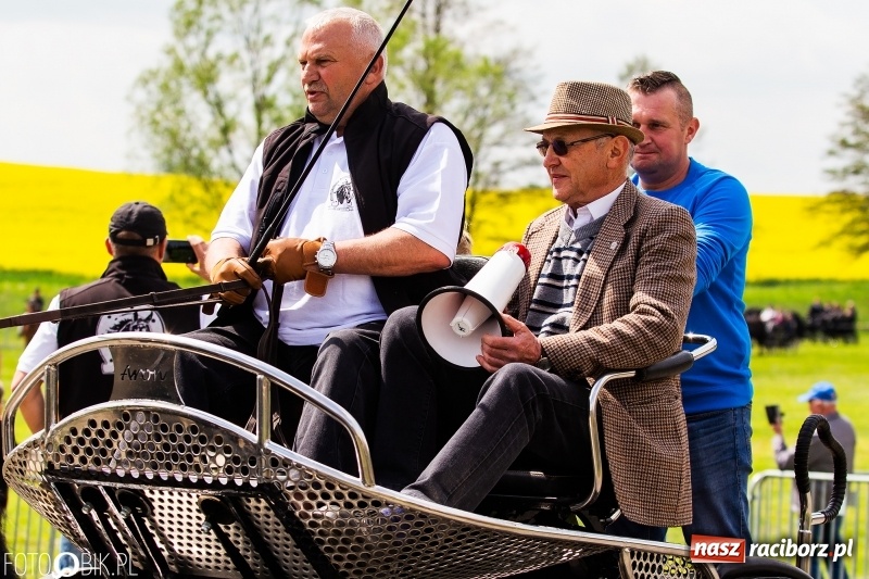 Zdjęcie w galerii na portalu naszraciborz.pl: Wiosenny korowód konny w gminie Pietrowice Wielkie [FOTO i WIDEO] wiadomości z regionu