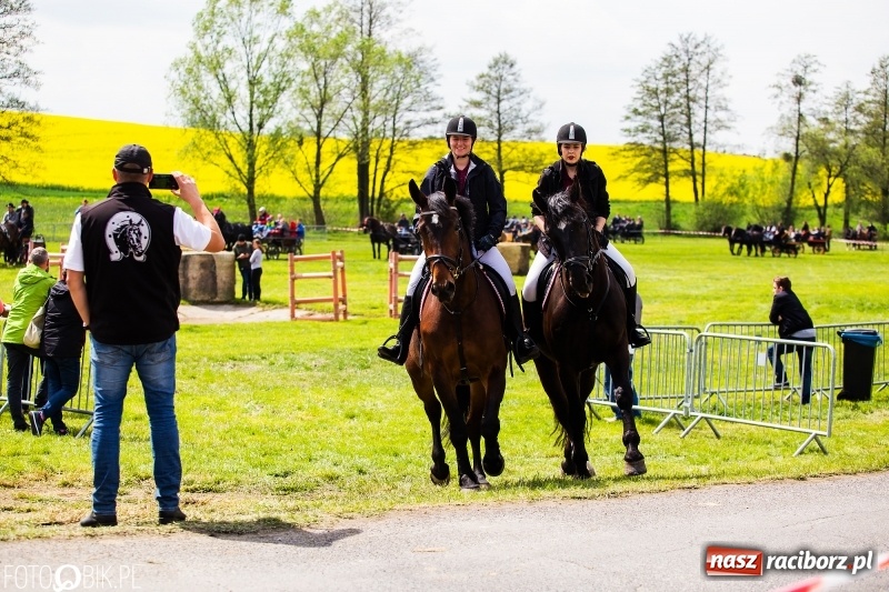 Zdjęcie w galerii na portalu naszraciborz.pl: Wiosenny korowód konny w gminie Pietrowice Wielkie [FOTO i WIDEO] wiadomości z regionu