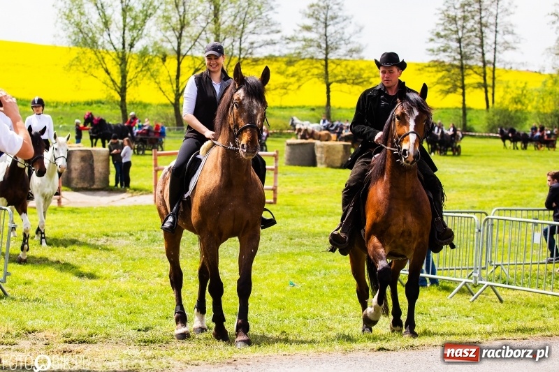 Zdjęcie w galerii na portalu naszraciborz.pl: Wiosenny korowód konny w gminie Pietrowice Wielkie [FOTO i WIDEO] wiadomości z regionu