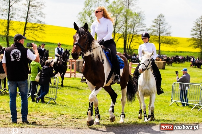 Zdjęcie w galerii na portalu naszraciborz.pl: Wiosenny korowód konny w gminie Pietrowice Wielkie [FOTO i WIDEO] wiadomości z regionu