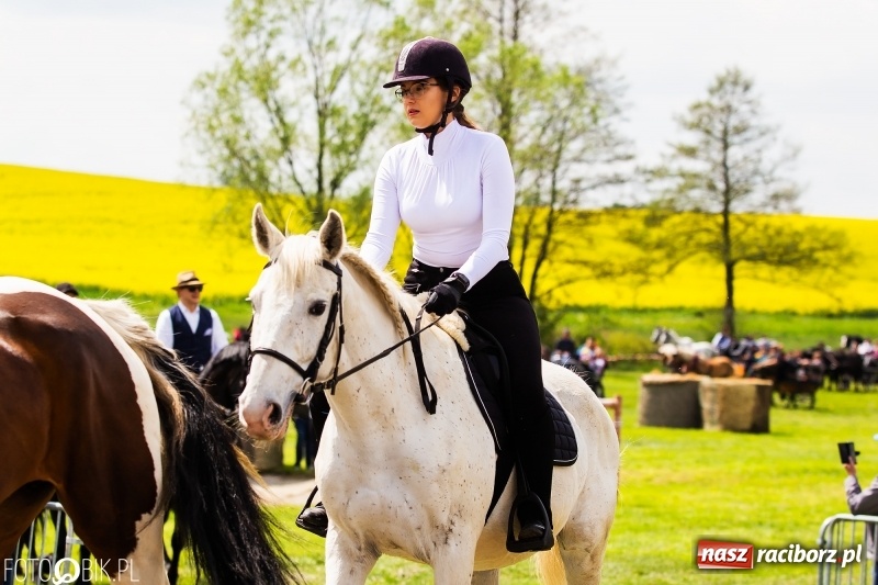 Zdjęcie w galerii na portalu naszraciborz.pl: Wiosenny korowód konny w gminie Pietrowice Wielkie [FOTO i WIDEO] wiadomości z regionu