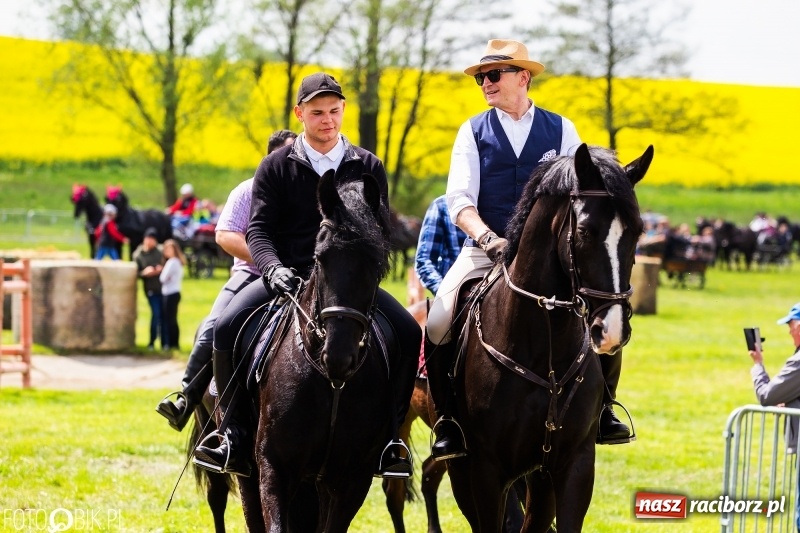 Zdjęcie w galerii na portalu naszraciborz.pl: Wiosenny korowód konny w gminie Pietrowice Wielkie [FOTO i WIDEO] wiadomości z regionu