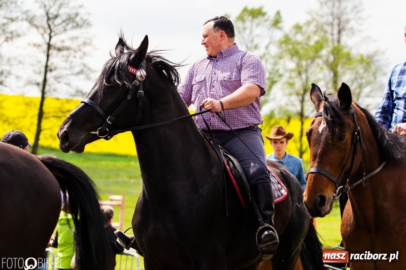 Zdjęcie w galerii na portalu naszraciborz.pl: Wiosenny korowód konny w gminie Pietrowice Wielkie [FOTO i WIDEO] wiadomości z regionu