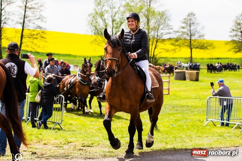 Zdjęcie w galerii na portalu naszraciborz.pl: Wiosenny korowód konny w gminie Pietrowice Wielkie [FOTO i WIDEO] wiadomości z regionu