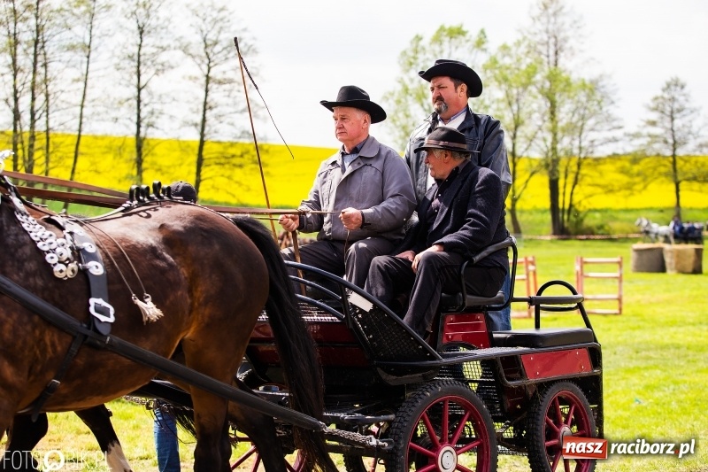 Zdjęcie w galerii na portalu naszraciborz.pl: Wiosenny korowód konny w gminie Pietrowice Wielkie [FOTO i WIDEO] wiadomości z regionu