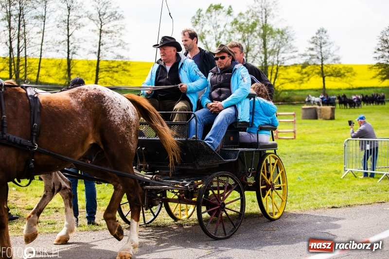 Zdjęcie w galerii na portalu naszraciborz.pl: Wiosenny korowód konny w gminie Pietrowice Wielkie [FOTO i WIDEO] wiadomości z regionu