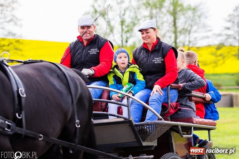 Zdjęcie w galerii na portalu naszraciborz.pl: Wiosenny korowód konny w gminie Pietrowice Wielkie [FOTO i WIDEO] wiadomości z regionu