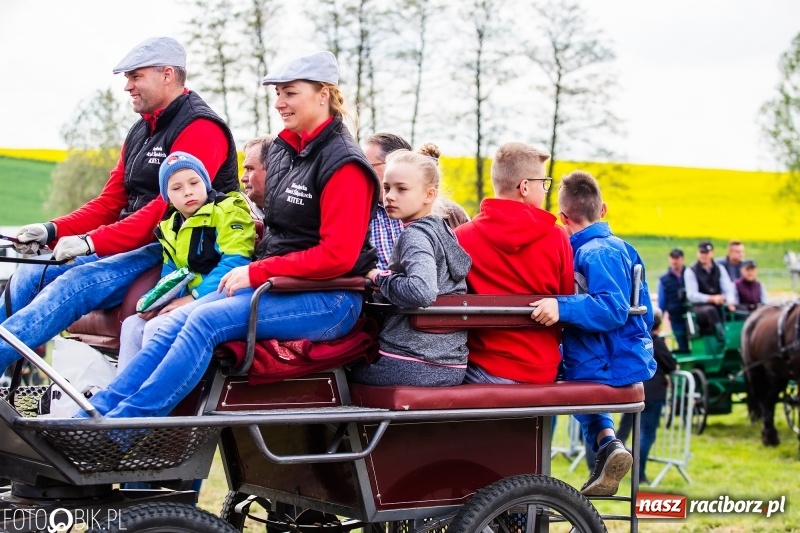Zdjęcie w galerii na portalu naszraciborz.pl: Wiosenny korowód konny w gminie Pietrowice Wielkie [FOTO i WIDEO] wiadomości z regionu