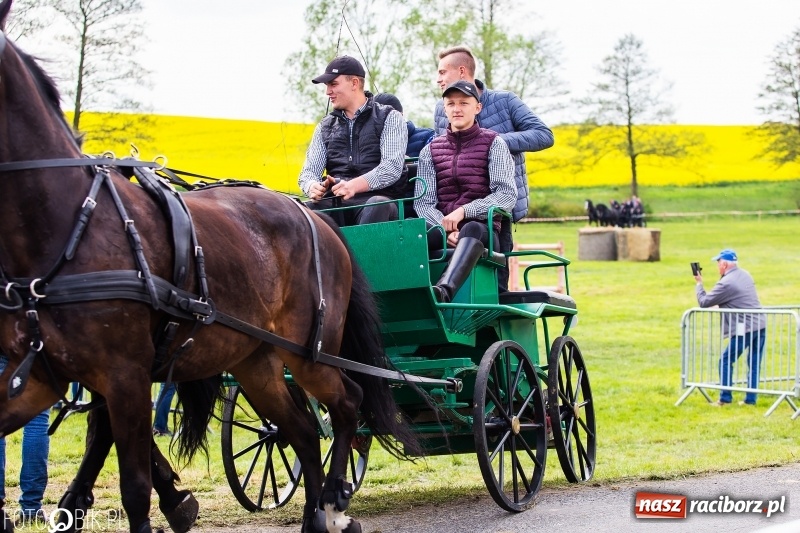 Zdjęcie w galerii na portalu naszraciborz.pl: Wiosenny korowód konny w gminie Pietrowice Wielkie [FOTO i WIDEO] wiadomości z regionu