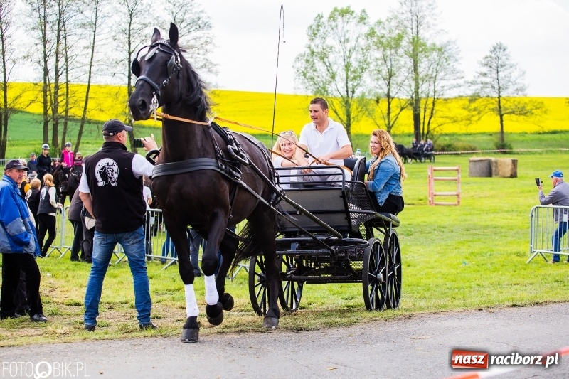 Zdjęcie w galerii na portalu naszraciborz.pl: Wiosenny korowód konny w gminie Pietrowice Wielkie [FOTO i WIDEO] wiadomości z regionu