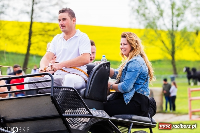 Zdjęcie w galerii na portalu naszraciborz.pl: Wiosenny korowód konny w gminie Pietrowice Wielkie [FOTO i WIDEO] wiadomości z regionu