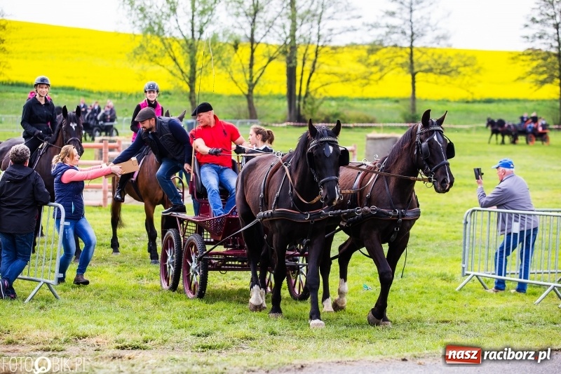 Zdjęcie w galerii na portalu naszraciborz.pl: Wiosenny korowód konny w gminie Pietrowice Wielkie [FOTO i WIDEO] wiadomości z regionu