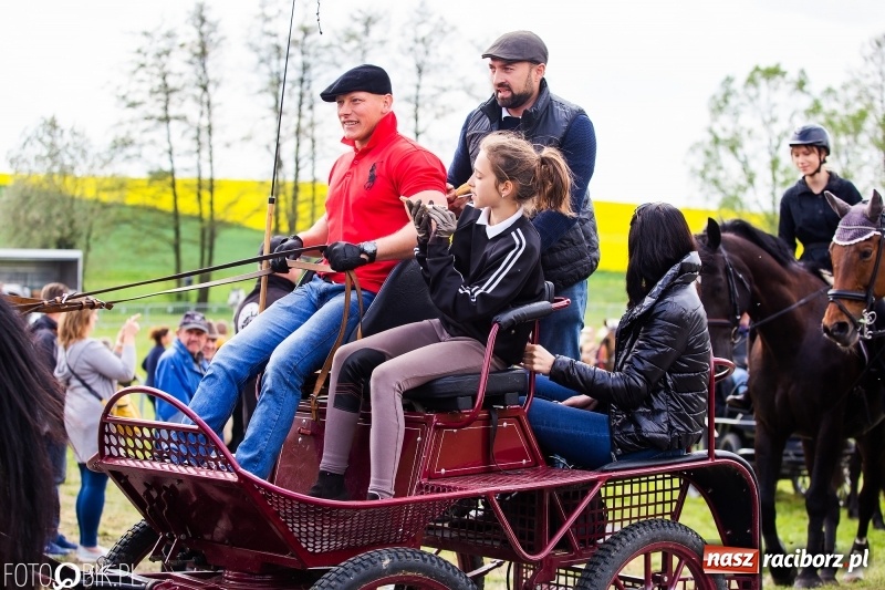 Zdjęcie w galerii na portalu naszraciborz.pl: Wiosenny korowód konny w gminie Pietrowice Wielkie [FOTO i WIDEO] wiadomości z regionu